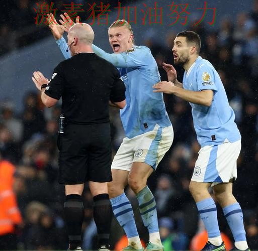 哈兰德赛后发言球迷情绪彻底被点燃 哈兰德赛后发言球迷情绪彻底被点燃