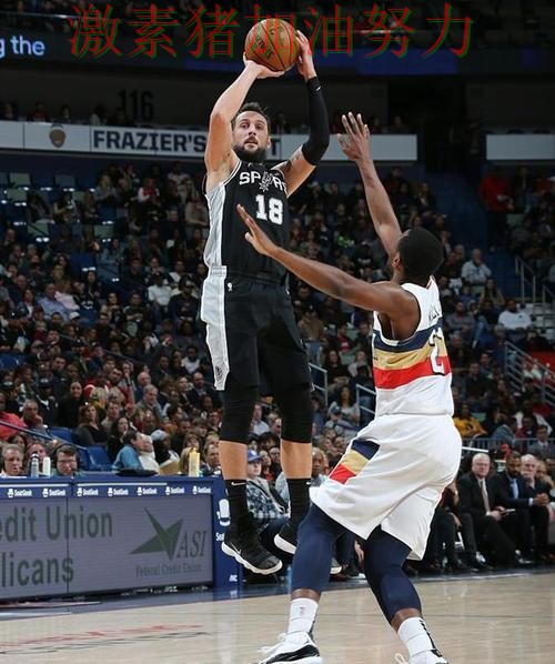 鹈鹕再创纪录背后细节曝光 鹈鹕再创纪录背后细节曝光